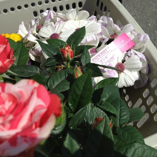 Photos At コーナン伊丹店 伊丹市 兵庫県
