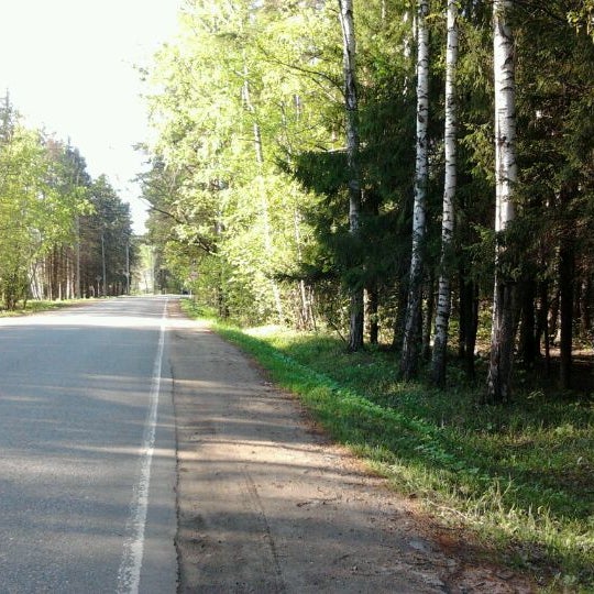 Поселок лесопарк. Поселок лесопарк. Лесопарк поселок развилка. Земля деревня лебяжье сколько стоит участок. Юго-восточный лесопарк развилка фото.