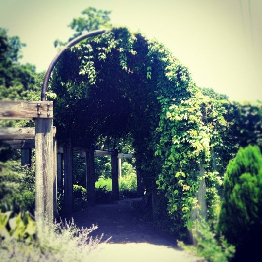 Greensboro Arboretum Lindley Park 12 tips