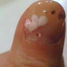 ファストネイル 新宿店 歌舞伎町 日本