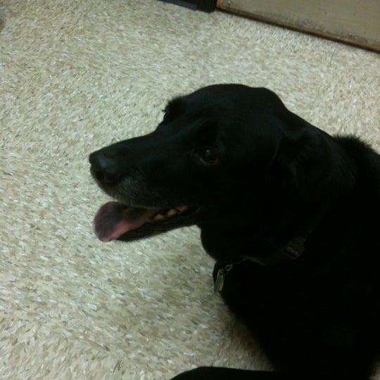 Photos at PetSmart Raleigh, NC