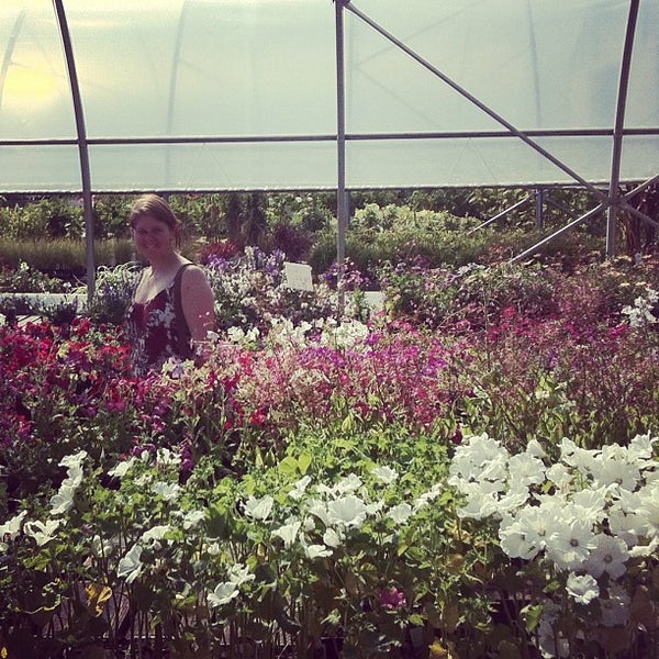 Ellerslie Gift & Garden Gift Store in Edmonton