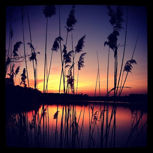 photo of Camden Waterfront