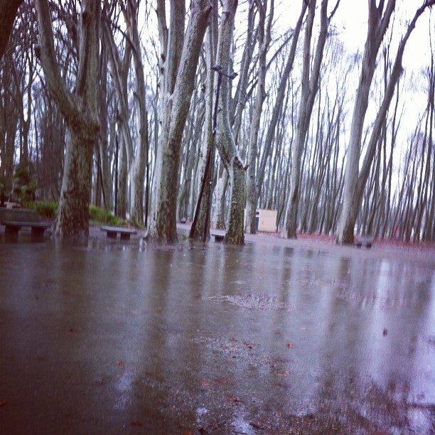 park