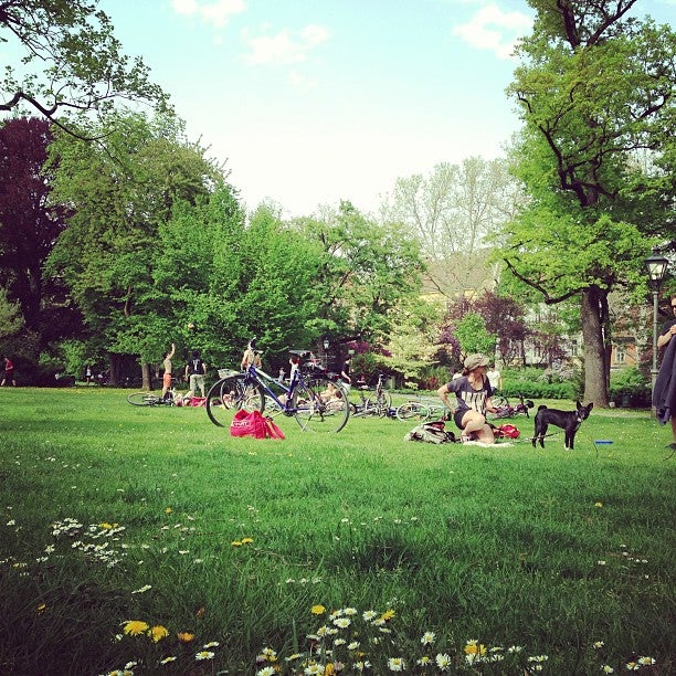 park