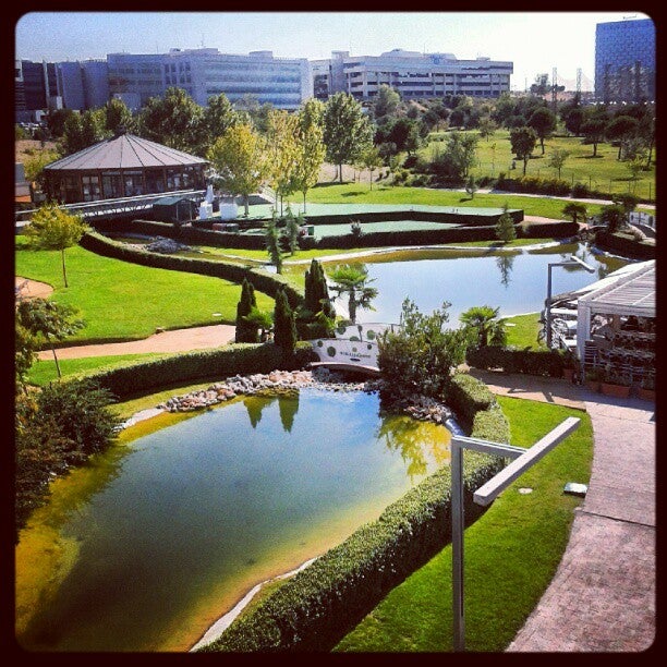 golf-course