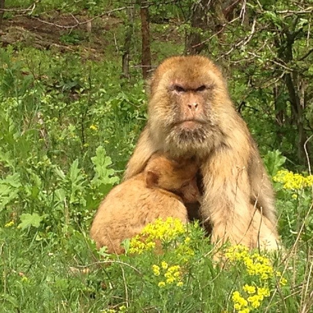 zoo