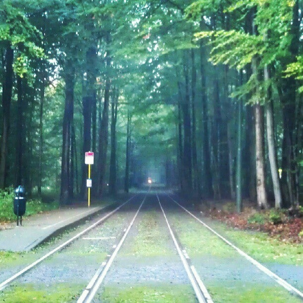 tram-station