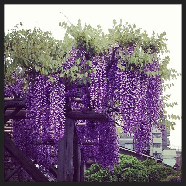 shrine