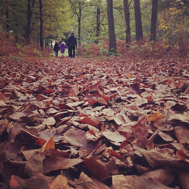 trail