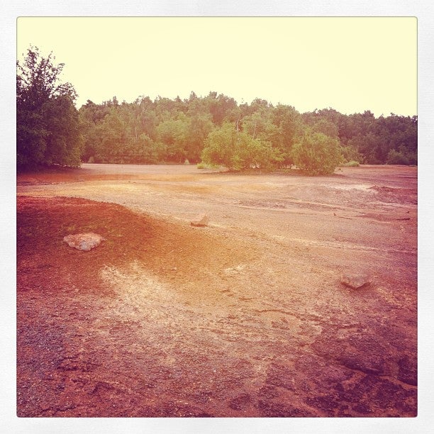 nature-preserve