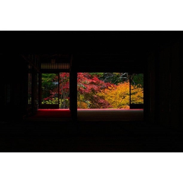 buddhist-temple