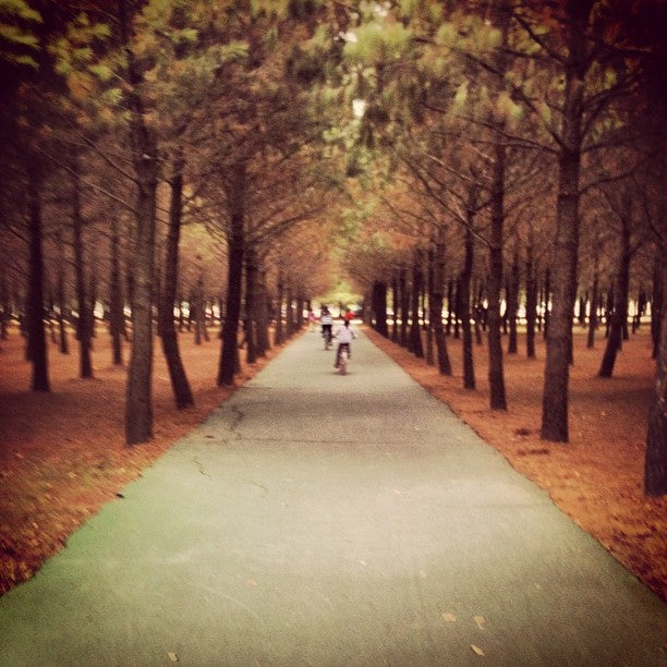 park