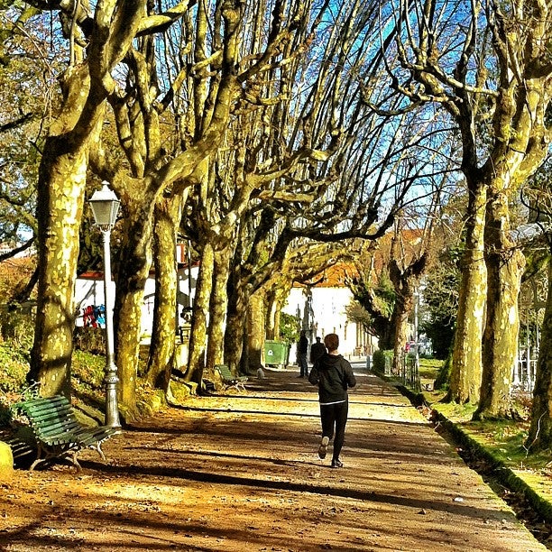 park