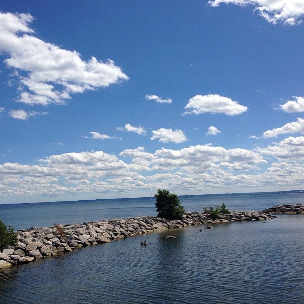 harbor-marina