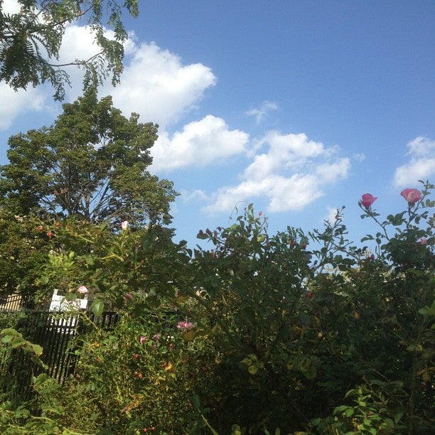 photo of Summer/Winter Community Garden of Powelton Village