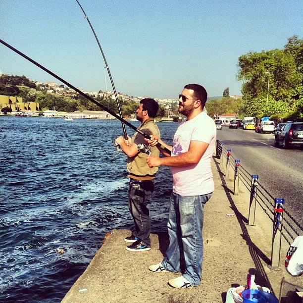 waterfront