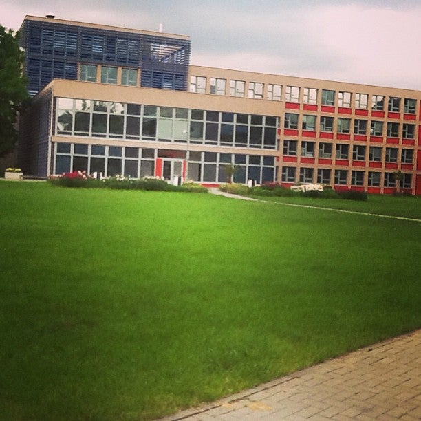 university