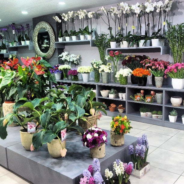 flower-shop
