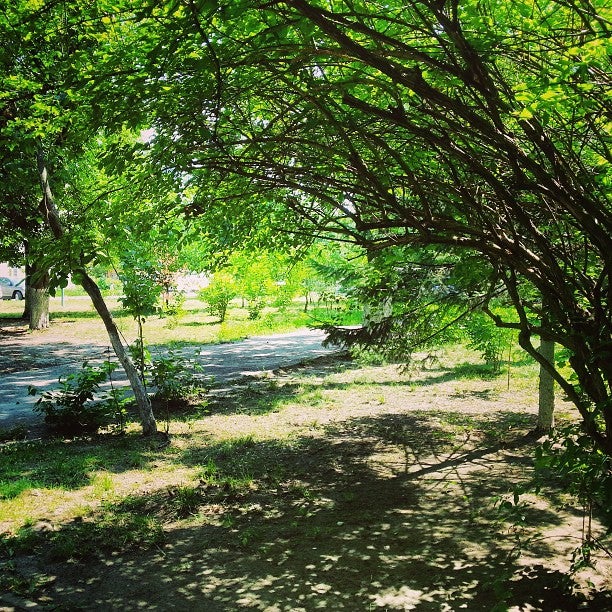 photo of Вулиця Курська
