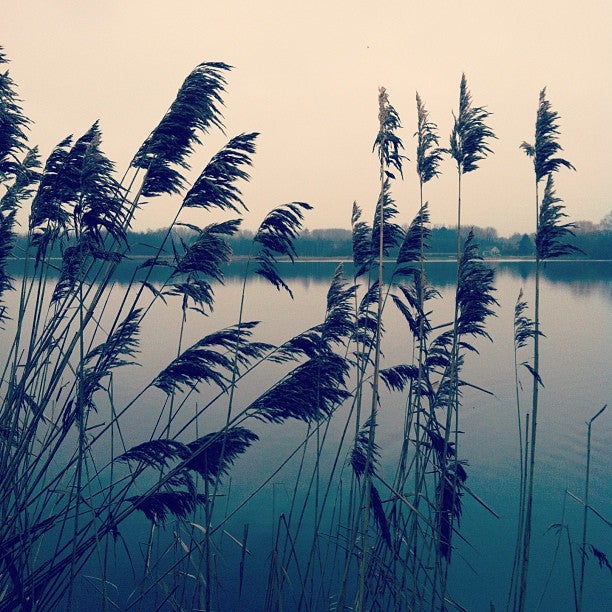 lake