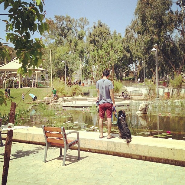 park