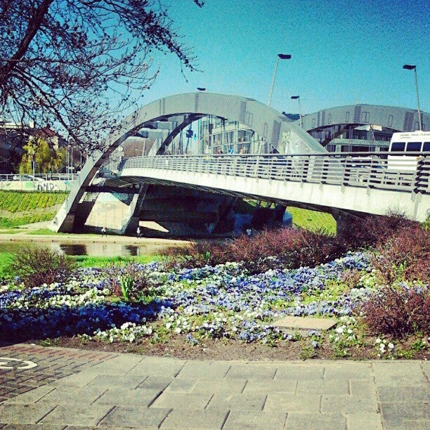 bridge