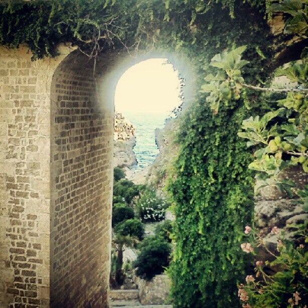 bridge
