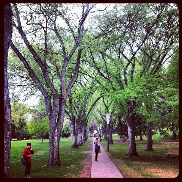 park