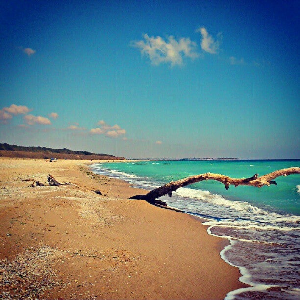 beach