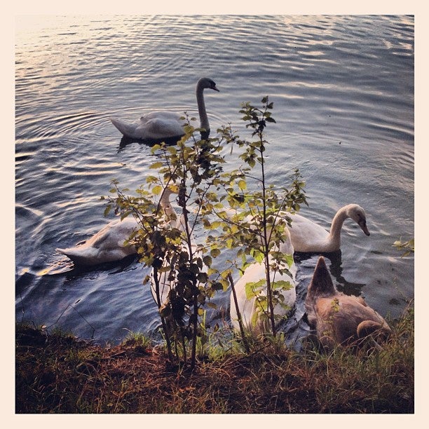 reservoir