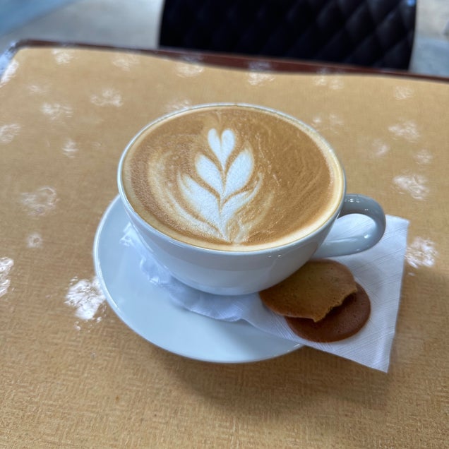 kahve fotografı