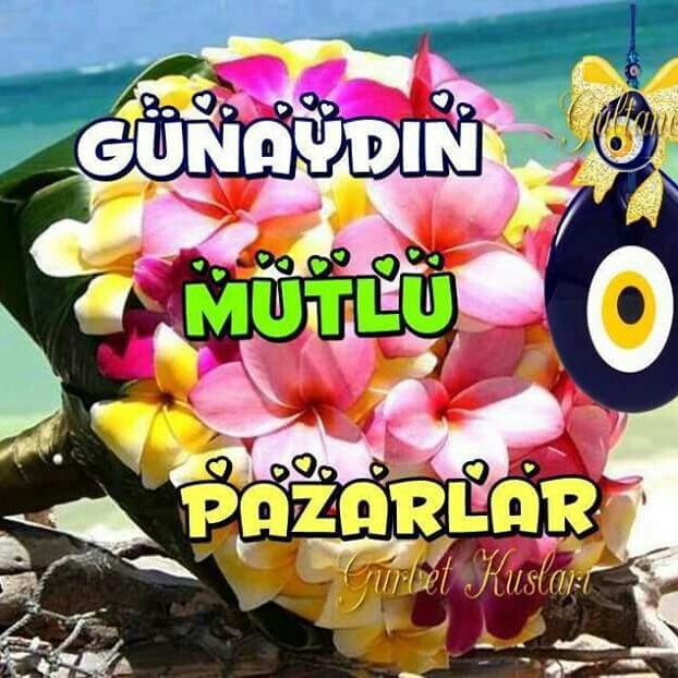 kahve fotografı