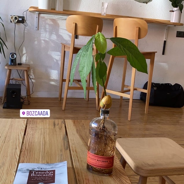 kahve fotografı