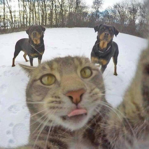kahve fotografı