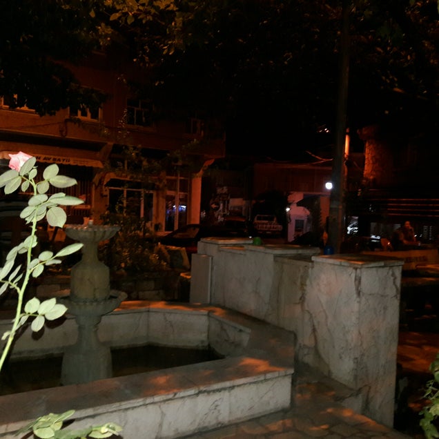 kahve fotografı