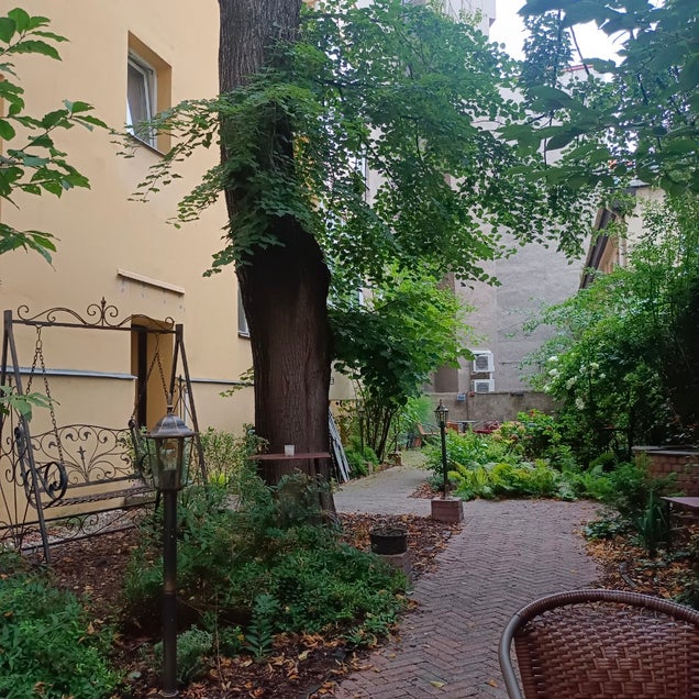 kahve fotografı
