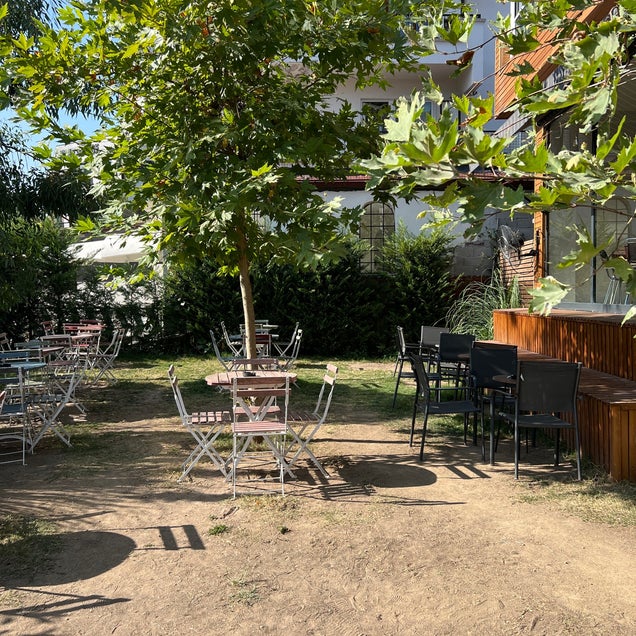 kahve fotografı