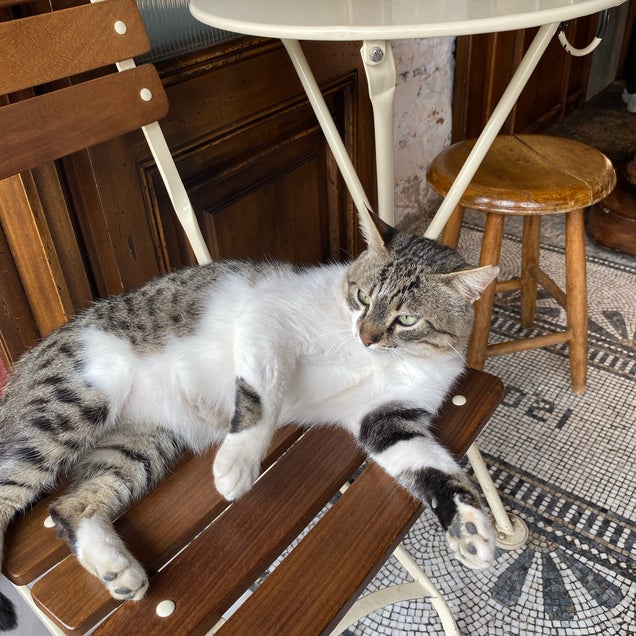 kahve fotografı