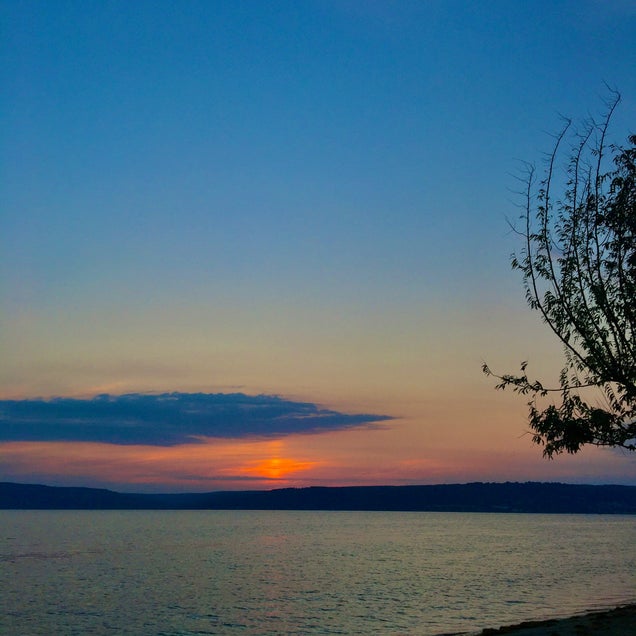 kahve fotografı
