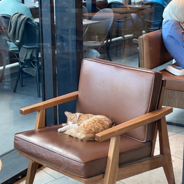 kahve fotografı