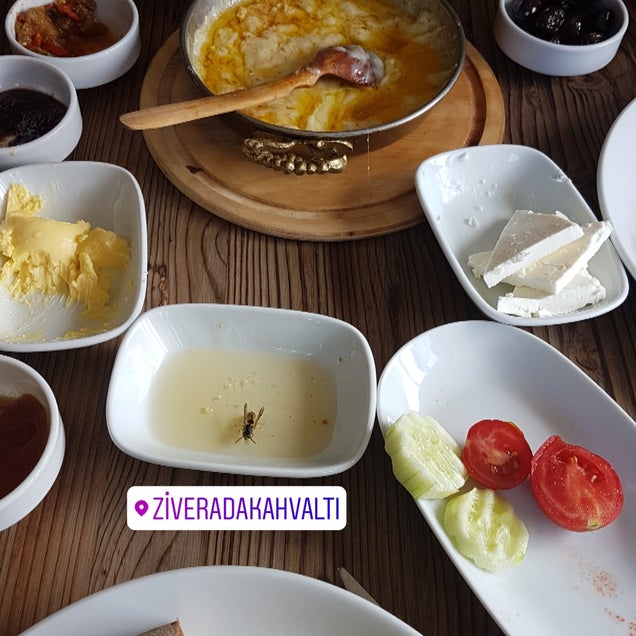 kahvaltı fotoğrafı