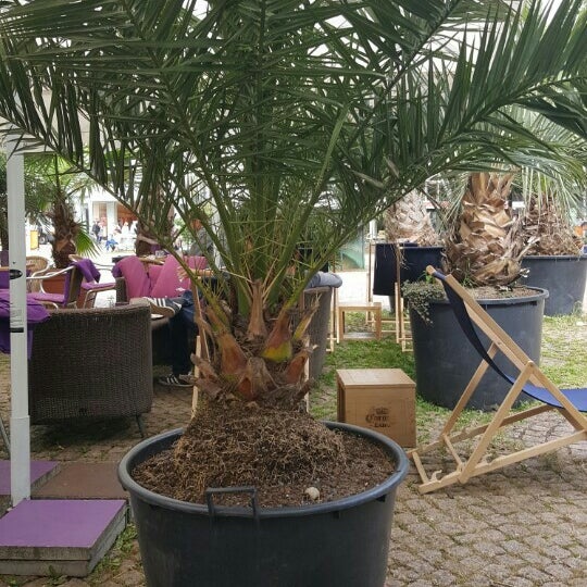kahve fotografı