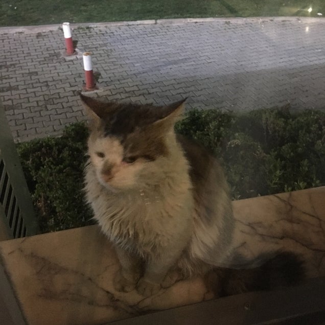 kahve fotografı