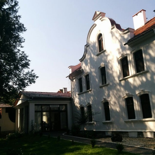 kahve fotografı