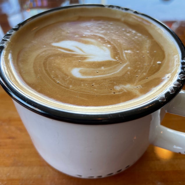 kahve fotografı