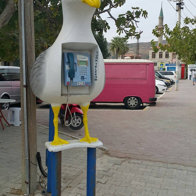 kahve fotografı