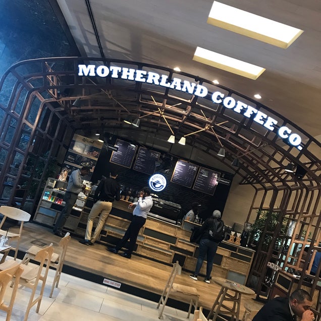 kahve fotografı