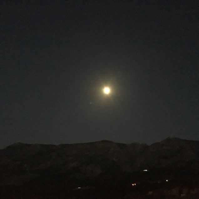 kahve fotografı