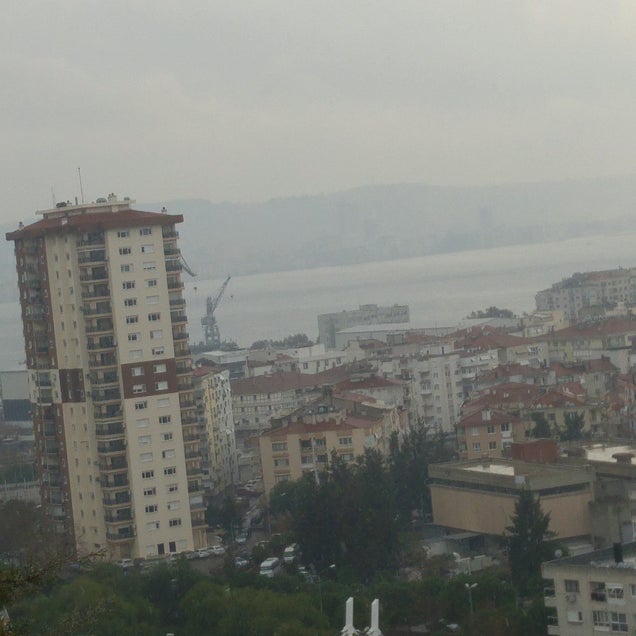 kahve fotografı